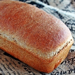 Ricotta Olive Oil Bread