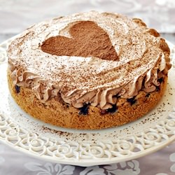 Cherry Cake With Chocolate Cream