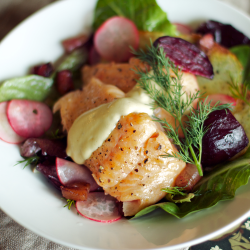 Steelhead and Roasted Beet Salad