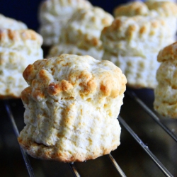 Basic Scones