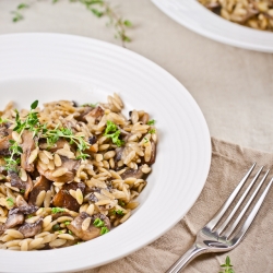 Mushroom Risoniotto