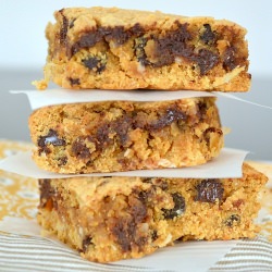 Chocolate Chip Macaroon Blondies