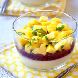 Coconut Panna Cotta