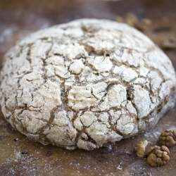 Walnut & Rye Sourdough Bread