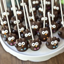 Owl Cake Pops