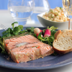 Salmon Terrine