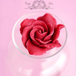 Sugar Paste Rose