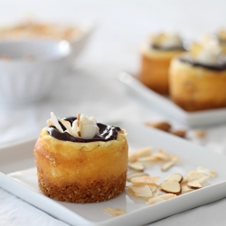 Almond Joy Cheesecakes