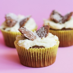 Chocolate Butterfly Cupcakes