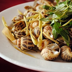 Steamed Snails w/ Lemongrass