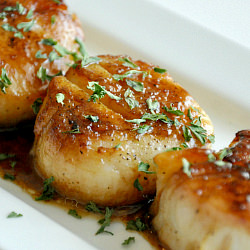 Perfect Seared Scallops