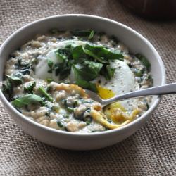 Savory Oats