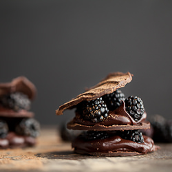 Chocolate Blackberry Mille-Feuille