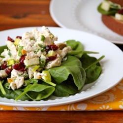 Cherry Pistachio Chicken Salad