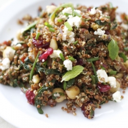 Red Quinoa