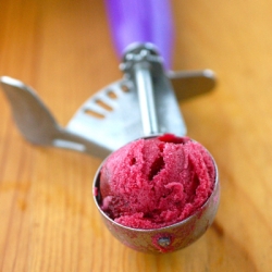 Blood Orange Sorbet