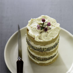 Poppy Seed Lemon Layer Cake