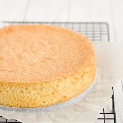 Genovese Sponge Cake