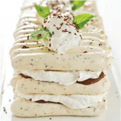 Mint Chocolate Vacherin