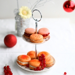 Lemon Cheesecake Macarons