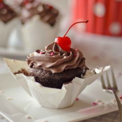 Chocolate Cupcakes with Fudge Icing