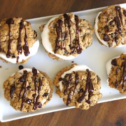 Chocolate Oatmeal Moon Pies