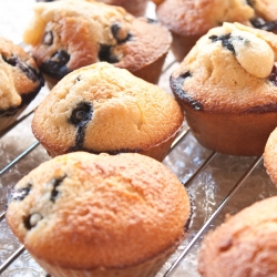 Blueberry Muffins