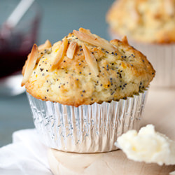 Lemon Almond Poppyseed Muffin