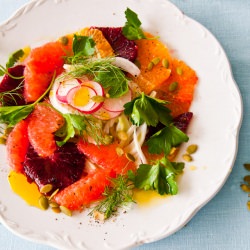 Fennel and Citrus Salad