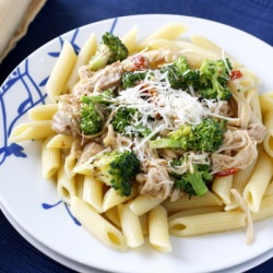 Chicken and Broccoli Sauce