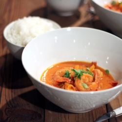 Spicy Coconut Shrimp Stew