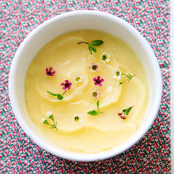 Meyer Lemon Sorbet