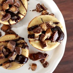 Mini Peanut Butter Cheesecakes