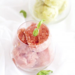 Watermelon and Kiwi Proseco Sorbet