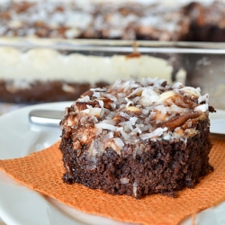 Mississippi Mud Cake