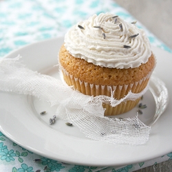 Meyer Lemon and Olive Oil Cupcake