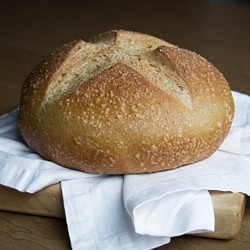 Whole Wheat Cast Iron Bread