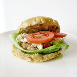 Homemade Healthy Hamburgers