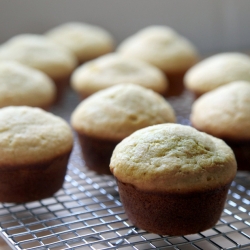 Ginger Lemon Muffins