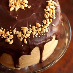 Chocolate Peanut Butter Cake