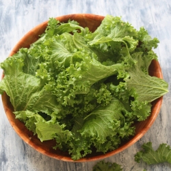 Baked Kale Chips