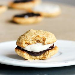 S’mores Whoopie Pies