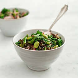 Black Rice w/ Spring Vegetables