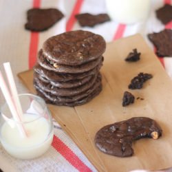 Flourless Chocolate Cookies