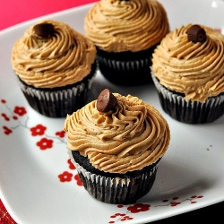 Chocolate Peanut Butter Cupcakes