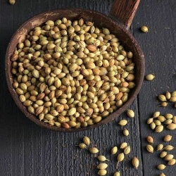 Roasted Coriander Powder