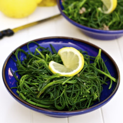 Friar’s Beard (Agretti) Salad