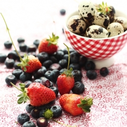 Tartelettes Aux Fruit