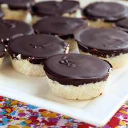 Dark Chocolate Coconut Treats