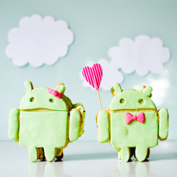 Happy Android Ice-Cream Sandwiches!